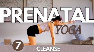 Yoga Stretches for Pregnancy | Day 7 Cleanse | Prenatal Yoga for All Trimesters