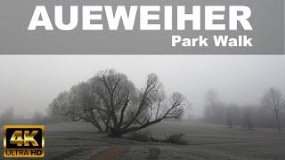 WALKING IN AUEWEIHER PARK, FULDA  |  |  | GERMANY | Foggy  and Frosted Day