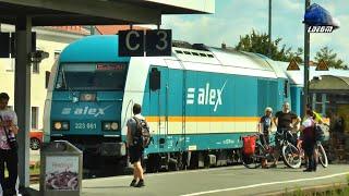 Züge im Bahnhof Schwandorf  Trains Schwandorf Railway Station - 14 August 2022