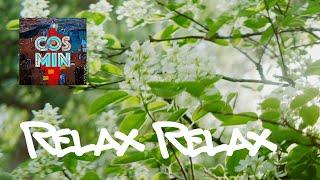 Cosmin - Relax Relax (music video)