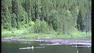 Classic Railroad Series 269 - CP WB in British Columbia June 1988