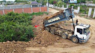 Powerful Bulldozer Komatsu D58E Push soil and Clearing Forest to filling land with 22ton Dump truck