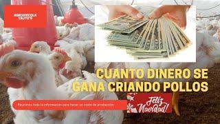 CUANTO DINERO GANAS CRIANDO POLLO PARA VENDERLOS EN NAVIDAD - CON ALIMENTO FORMULADO Y COMERCIAL