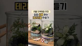 유행하는 테라리움 만들기⁉️ 나만의 식물 원데이클래스 이색 체험 데이트