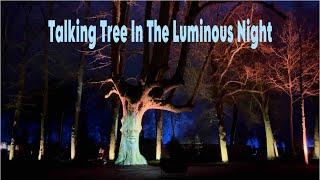 Talking Tree In The Luminous Night