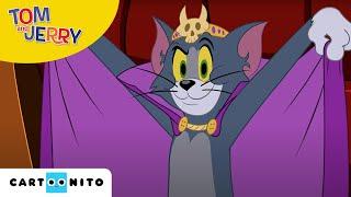 Tom und Jerry | In den Katz-a-komben | Cartoonito