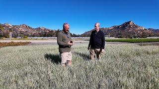 Drought Tolerant Amazing Plants for the West from the Sunset Plant Collection