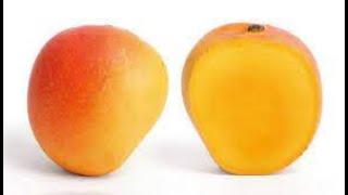 Is the Guava Mango and The Sein ta Lone Mango The Same Mango?