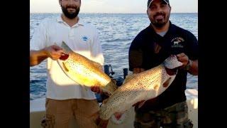 Brown Trout Trolling Lake Ontario NY