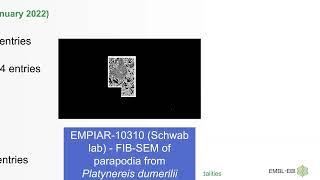 Electron Microscopy Public Image Archive - Introduction