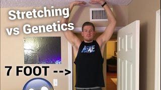 DOES STRETCHING MAKE YOU TALLER? -My 7 Foot Life-