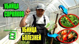 ЭФФЕКТИВНАЯ БОРЬБА С СОРНЯКАМИ И БОЛЕЗНЯМИ ТОМАТОВ, ОГУРЦОВ. ЭКО-САД ВЫХОДНОГО ДНЯ 23-13