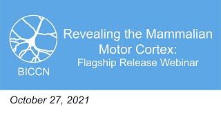 Revealing the Mammalian Motor Cortex: BICCN Flagship Release