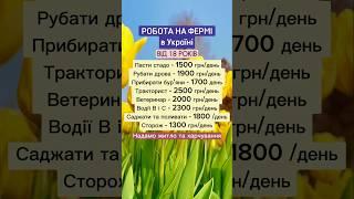 Вакансії на фермі в Україні #праця #top #робота #вакансії
