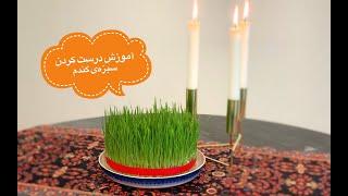 How To Make Nowruz Sabze - آموزش درست کردن سبزه گندم - سبزه عید