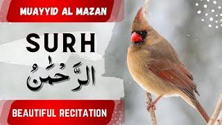 Surah Rehman by Mu'ayyid Al Mazen | A Beautiful Voice for Islamic Soul Meditation