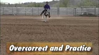 Equine Adventures - Reining