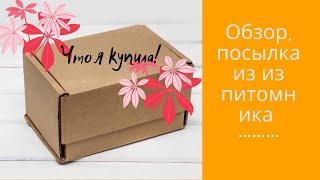ОбзОр поСЫлкИ .Орхидея ВеНЕрин БАшМачок.Заказ из Питомника. Обзор сада.
