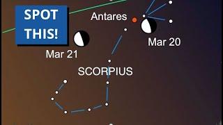 The Best Night Sky Forecast for March 2025