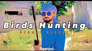 24 Hours challenge Birds  Hunting |Shawal Asghar