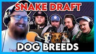 Drafting the Best Dog Breeds