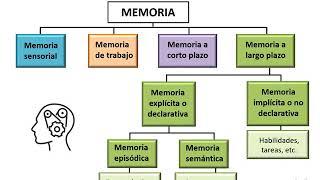 La memoria: nociones básicas