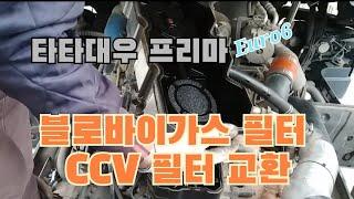 타타대우 프리마 블로바이가스필터 교환 CCV필터 교환.