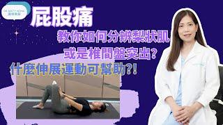 屁股痛 I 教你如何分辨梨狀肌或是椎間盤突出 I 什麼伸展運動可幫助-脊醫王鳳恩 -  (中/Eng Sub) - Sciatica from Piriformis or Herniated disc