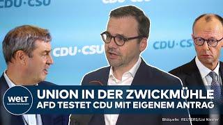 BRANDENBURG: Migrationsstreit eskaliert! CDU verweigert AfD die Gefolgschaft