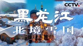 中国纬度最高的省份：“冰雪王国”黑龙江！ 来“东北中的东北”一览壮美的北国风光！【CCTV纪录】