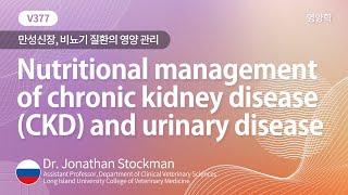 [베터플릭스] 영양학 - 만성 신장, 비뇨기 질환의 영양 관리(Nutritional management of chronic kidney disease(CKD)_강의