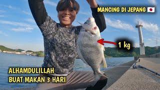 STRATEGI NGIRIT DI JEPANG YA MANCING GAES...