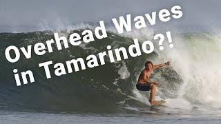 Overhead Waves in Tamarindo: May 18 - 25, 2024 Surf Recap