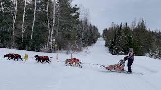 2023 Can-Am Crown International Sled Dog Race #dogs #Sleddograce #maine #race #dograce