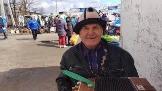 Гармонист Вячеслав Мусатов