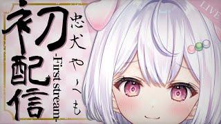 【Vtuber初配信】はじめまして！忠犬やくもです！【#新人Vtuber】