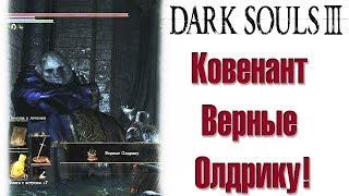 Dark Souls III - Где найти Ковенант Верные Олдрику!