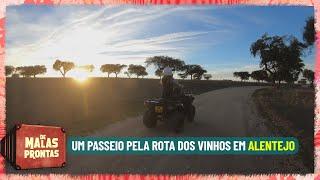 Portugal: viaje pelas trilhas dos vinhos no Alentejo