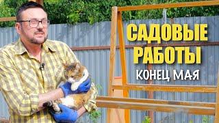 Борьба с вредителями  у Люси депрессия  жирные личинки - вредители или нет  урожайные огурцы 