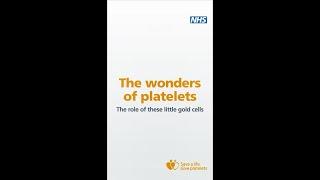 The Wonder of Platelets: How platelet donation saves lives | NHS Give Blood