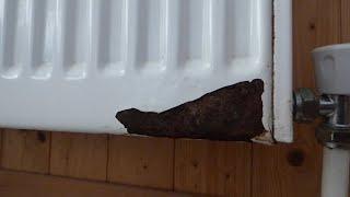 Can Leaks in central heating radiators be fixed?