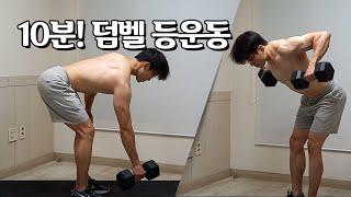 하루10분! 등 근육을 키우는 덤벨운동 (등운동, 벤치없이) | 10 Min Back Workout With Dumbbells (No Bench)