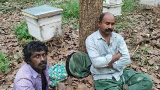 Honey. Bst. Kg. 200