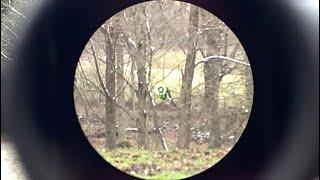 Trijicon TA33 ACOG reticle view, Green Horseshoe Dot