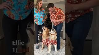 Dog favorite parent challenge #goldenretriever #puppy