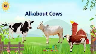 Preschool I Cow I Cow is a domestic animal I Cow gives us milk I Kids education