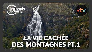 La vie cachée des montagnes : entre défis et métamorphoses - La vie cachée des montagnes