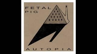 Fetal Pig - Inside The Pyramid