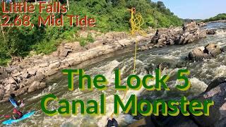 The Lock 5 Canal Monster, Little Falls 2.68 Mid Tide, 2024-07-15