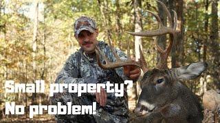 HOW TO KILL A BUCK ON 5 ACRES EVERY YEAR